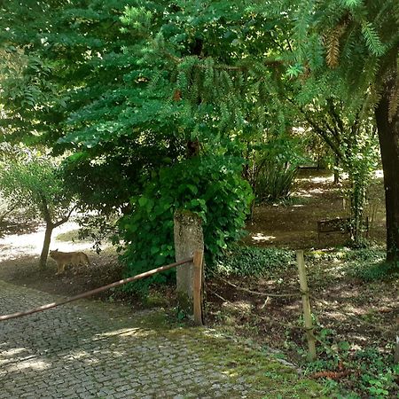 Cabana Da Oliveira Marco de Canavezes Екстериор снимка