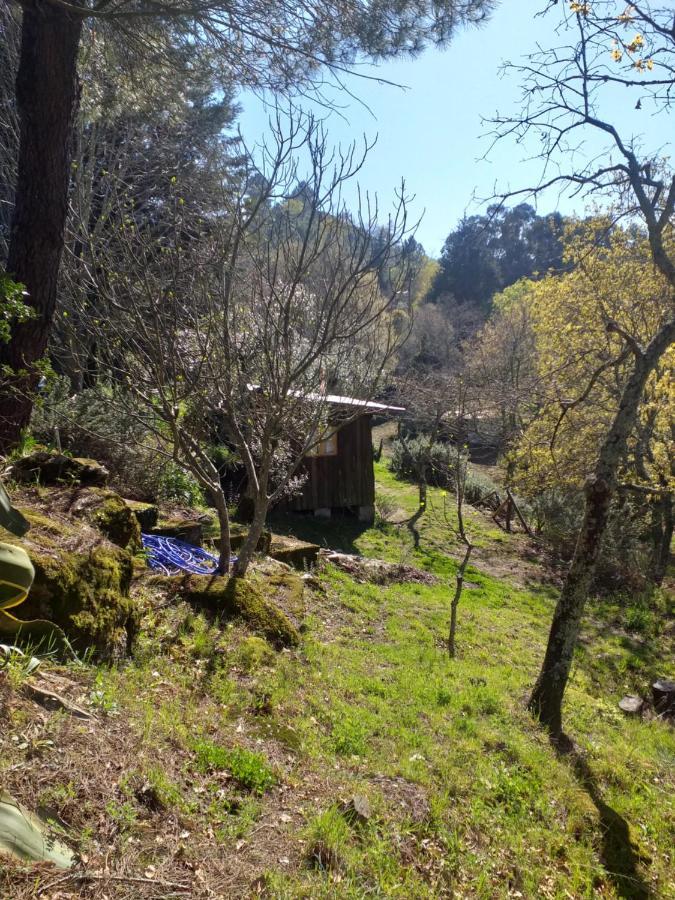Cabana Da Oliveira Marco de Canavezes Екстериор снимка