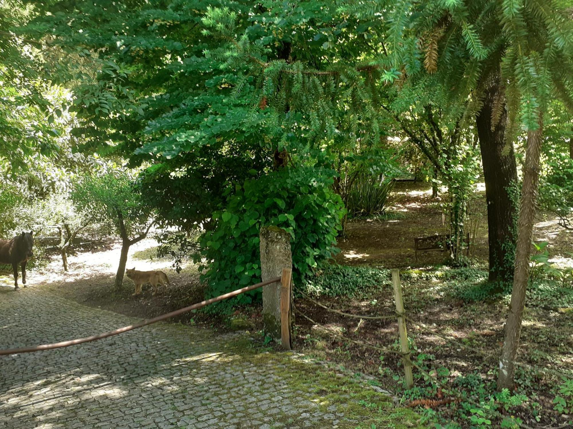 Cabana Da Oliveira Marco de Canavezes Екстериор снимка